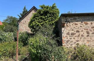 Haus kaufen in 06193 Brachwitz, Wochenendhäuschen mit Garten und Nebengelassen: 2-Zimmer-Kleinod mit neuem Dach & Holzofen