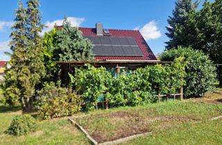 Einfamilienhaus kaufen in 04610 Meuselwitz, Ein Haus zum Verlieben! Gemütliches Einfamilienhaus in Meuselwitz
