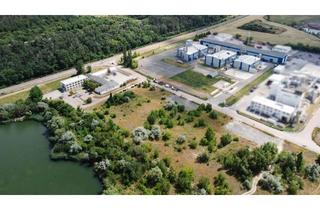 Gewerbeimmobilie kaufen in 06217 Merseburg, Im Alleinverkaufsauftrag: Industriekomplex in Merseburg