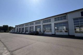 Gewerbeimmobilie kaufen in Dr. Allende Straße 35, 17379 Ferdinandshof, Großzügiges Gewerbegrundstück,vielseitig nutzbar