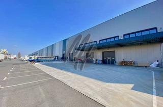Büro zu mieten in 63452 Hanau, PROVISIONSFREI ✓ NEUBAU / ERSTBEZUG ✓ Lager-/Produktion (15.200 m²) & Büro (1.900 m² / erweiterbar)