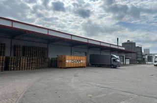 Gewerbeimmobilie mieten in Industriestrasse 41, 23879 Mölln, Lagerhalle für Ihr Business - seltene Gelegenheit!