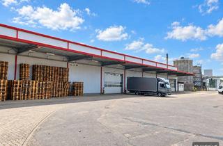 Gewerbeimmobilie mieten in Industriestrasse 41, 23879 Mölln, Lagerhalle für Ihr Business - seltene Gelegenheit!