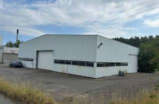 Gewerbeimmobilie mieten in Industriestrasse 41, 23879 Mölln, Lagerhalle mit überdachter Freifläche und Erweiterungspotential in Mölln