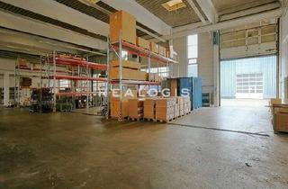 Büro zu mieten in 91289 Schnabelwaid, Sofort verfügbare Lagerfläche mit ca. 5.000 m² zzgl. Bürofläche zu vermieten