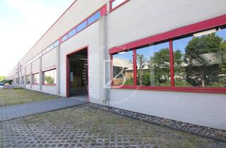 Gewerbeimmobilie mieten in 64646 Heppenheim, "BAUMÜLLER AG" - ca. 2.000 qm Produktions-/Logistikfläche - Rampen + ebenerdige Andienung