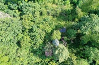 Grundstück zu kaufen in 71229 Leonberg, Grüne Ruheoase: Gartengrundstück mit altem Baumbestand und Gartenhäuschen