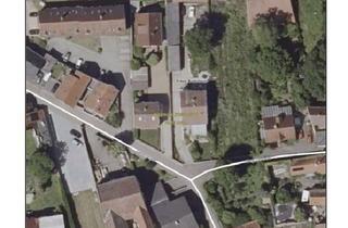 Grundstück zu kaufen in Obere Torstr., 55234 Erbes-Büdesheim, Grundstück mit vielfältigen Bebauungsmöglichkeiten in ruhiger Ortslage
