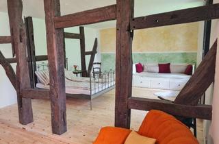 Immobilie mieten in 37181 Hardegsen, Traumhafte große Wohnung in historischem Kulturdenkmal (möbliert)