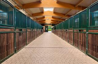 Immobilie kaufen in 52396 Heimbach, Wo Reitsport auf Qualität trifft – eine Reitanlage der Extraklasse