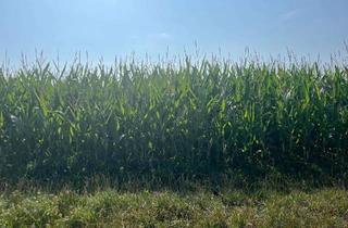 Gewerbeimmobilie kaufen in 85290 Geisenfeld, Landwirtschaftliche Grundstücke mit ca. 35.000 m² in Unterpindhart (Geisenfeld) zu verkaufen