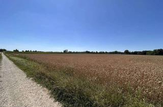 Gewerbeimmobilie kaufen in 86672 Thierhaupten, landw. Ackerfläche Gem. Thierhaupten