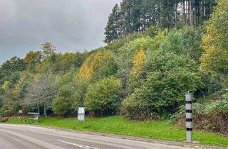 Gewerbeimmobilie kaufen in 77773 Schenkenzell, Großzügiges Grundstück in Schenkenzell