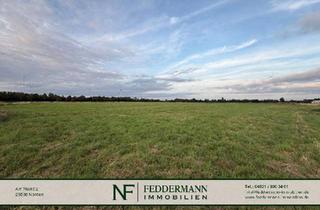 Gewerbeimmobilie mieten in 26725 Widdelswehr/Jarßum, Grünländereien (ca. 4.8474 ha) in Emden-Borssum