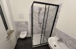 Wohnung mieten in Amalienstraße 138, 06844 Innenstadt, Modernes möbliertes 1-Zimmer-Apartment – 5 Min. zum Bauhaus, All-inclusive