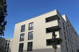 Penthouse mieten in Yalovastrasse, 72108 Rottenburg, WOHNTRAUM: Große Penthousewohnung, Luxus-EBK, 2 Bäder, Dachterassentraum, TG