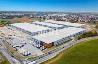 Gewerbeimmobilie mieten in 64521 Groß-Gerau, LEAD-Mandat JLL - 12.215m² Logistikfläche ab sofort - WGK - 25 Rampen - 8.000m² Freifläche