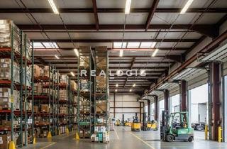 Gewerbeimmobilie mieten in 77731 Willstätt, ab 4.200 m² | Produktionshalle | 7,70 m UKB | provisionsfrei
