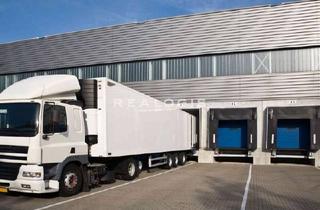 Gewerbeimmobilie mieten in 77652 Offenburg, Provisionsfrei | ab 4.200 m² | Industrie-/Logistikhalle | klimatisiert