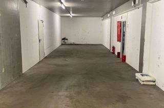 Gewerbeimmobilie mieten in Robert-Bosch-Straße 11A, 55129 Hechtsheim, Lagerfläche in Mainz-Hechtsheim Alarmgesichert