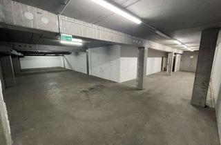 Gewerbeimmobilie mieten in Robert-Bosch-Straße 11A, 55129 Hechtsheim, Lagerfläche in Mainz-Hechtsheim Kameraüberwacht