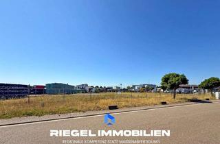 Gewerbeimmobilie mieten in 76877 Offenbach, Sie hier? Wir auch! Großzügiges Gewerbegrundstück mit ca. 3.200 m² zur Pacht