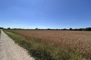 Immobilie kaufen in 86672 Thierhaupten, landw. Ackerfläche Gem. Thierhaupten