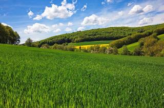 Immobilie kaufen in 37284 Waldkappel, Ackerland, Grünland oder Wald zu verkaufen? Kostenlose Preiseinschätzung im Werra-Meißner-Kreis!