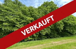 Immobilie kaufen in 37284 Waldkappel, Laubwald mit starkem Baumbestand in Waldkappel / 0,7 ha
