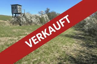 Immobilie kaufen in 37269 Eltmannshausen, Land- und Forstwirtschaftliches Grundstück (Grünland / Wiese) in Eltmannshausen zum fairen Preis!