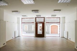 Geschäftslokal mieten in 01662 Meißen, *Top Lage in der Altstadt Meißen* *Ladenfläche in Fußgängerzone zu vermieten*110m²Ladenfläche*EBK*