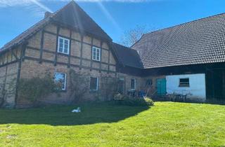 Haus kaufen in 17217 Penzlin, Penzlin - Schönes Fachwerkhaus in Alleinlage mit Scheune und Stall,