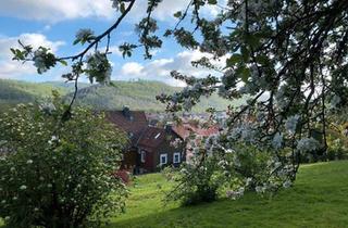 Mehrfamilienhaus kaufen in 37431 Bad Lauterberg, Bad Lauterberg im Harz - Mehrgenerationenhaus mit 3 Wohnungen und schönem Garten
