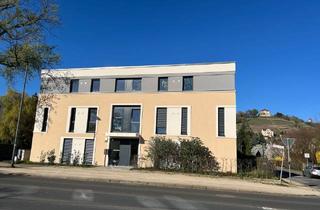 Wohnung kaufen in Meißner Straße 324, 01445 Radebeul, Radebeul - Exklusive 4-Zimmer Neubau-Wohnung mit 113 m² in Radebeul - Erstbezug