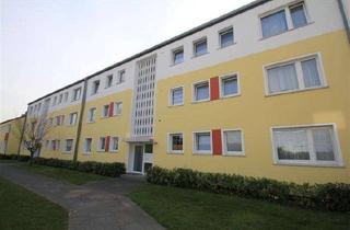Wohnung mieten in Stommeler Weg, 50259 Pulheim, Großzügige 4-Zimmer Wohnung in Pulheim