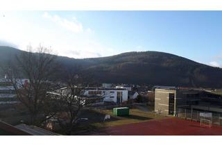 Wohnung mieten in 63897 Miltenberg, Sehr helle Dachgeschosswohnung mit Dachterrasse zu vermieten