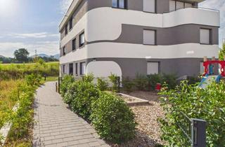 Penthouse mieten in 79379 Müllheim, Exklusives 2-Zimmer-Penthouse mit großzügiger Panoramaterrasse in Müllheim