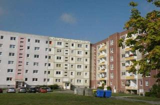 Wohnung mieten in Vogelsangstr. 77, 18437 Vogelsang, 1-Raumwohnung in Grünhufe!