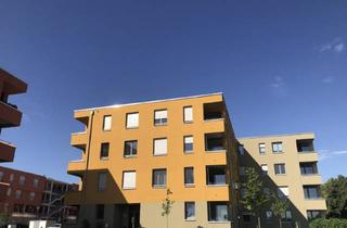 Wohnung mieten in Baumschulwiese, 14669 Ketzin, traumhafte zwei Zimmerwohnung