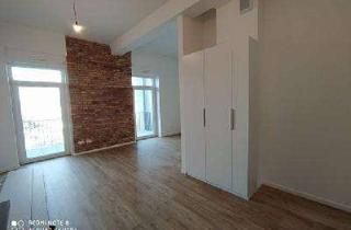 Lofts mieten in Hessenring 37, 63071 Offenbach, Exklusive Einraumwohnung mit Loft-Charakter im kernsanierten Altbau und angrenzendem Privatpark