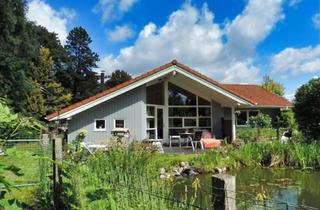 Haus kaufen in 25767 Bunsoh, Ein Haus für " Verträumte " mit 3 Kindern + Hund !!