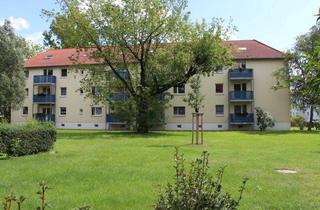 Wohnung mieten in Straße Der Freundschaft 19, 01589 Riesa, Ruhig, Grün und doch Zentral - Wohnen in der Pausitzer Delle
