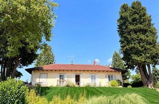 Villa kaufen in 79410 Badenweiler, Villa mit Weitblick, Einliegerwohnung und einmaligem Blick ins Elsaß u. auf die Vogesen -gegen Gebot