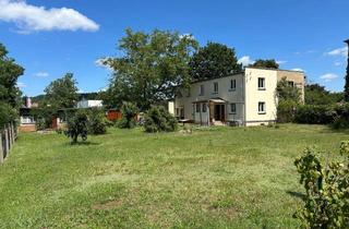Einfamilienhaus kaufen in 01445 Radebeul, Traumhaftes, großes Grundstück mit einem Einfamilienhaus in Radebeul
