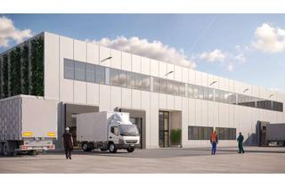 Gewerbeimmobilie mieten in Stroofstraße 27, 65933 Griesheim, FRANKFURT WESTSIDE – Multi-Use-Halle L flexible Flächen ab 10.000 m² BGF Produktion, Logistik, Lager