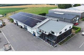 Büro zu mieten in 27283 Verden, Neuwertige Gewerbehalle mit Büro und Außenlagerfläche in Verden