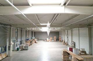 Gewerbeimmobilie mieten in 77855 Achern, Moderne Lager- und Logistikhalle mit 1.750 m² (teilbar ab 750 m²) mit 4 Laderampen.