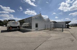 Gewerbeimmobilie mieten in 89264 Weißenhorn, Helle Gewerbehalle in Gewächshausbauweise zu vermieten