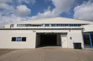 Gewerbeimmobilie kaufen in Pfaffenstraße, 06184 Kabelsketal, AB 01.08.2026 verfügbar: 2.500 m² Lagerhalle / Produktionshalle in Kabelsketal in der Nähe von Leipz