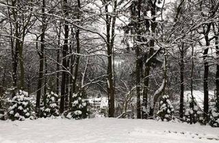 Anlageobjekt in 37539 Bad Grund, Ferienhaus im Harz Kapitalanlage / Renditeobjekt Sauna